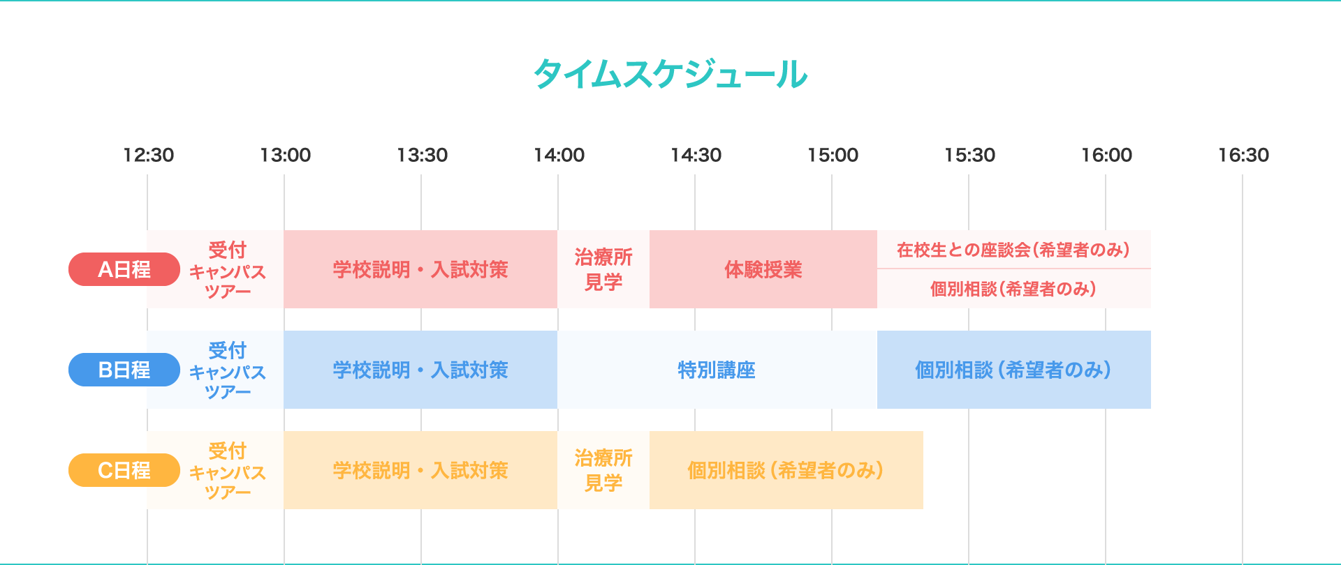 スケジュール